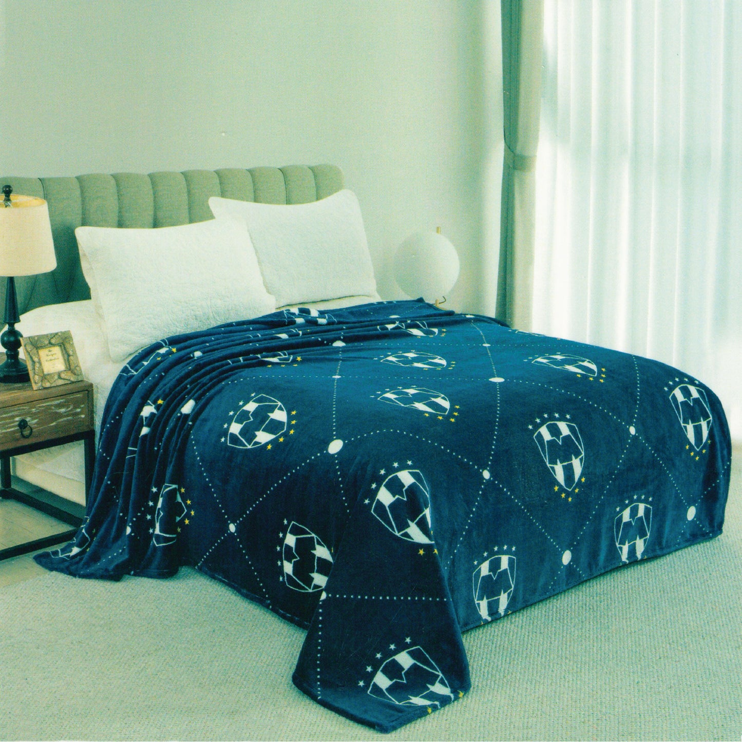 Monterrey Rayado 2 Ply (Supersoft Fleece) Thick Queen Size Blanket With Sherpa Lining